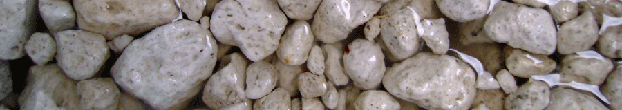 Descripci&oacute;n del tepojal o cacahuatillo