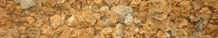 Caracter&iacute;sticas del tepojal o cacahuatillo