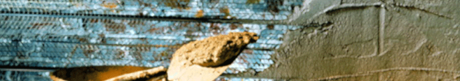 Caracter&iacute;sticas de cemento